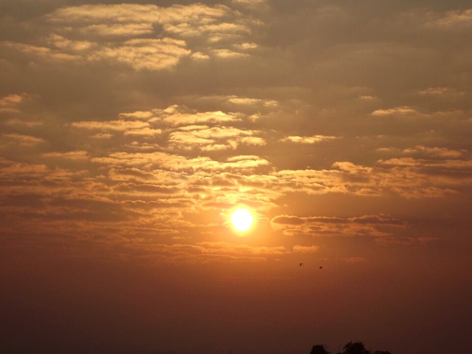 Nature sky sun