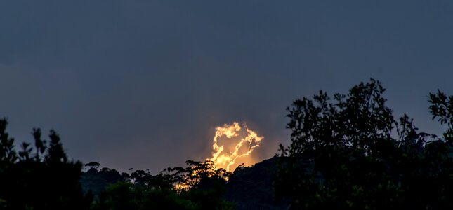 Fiery bright isolated