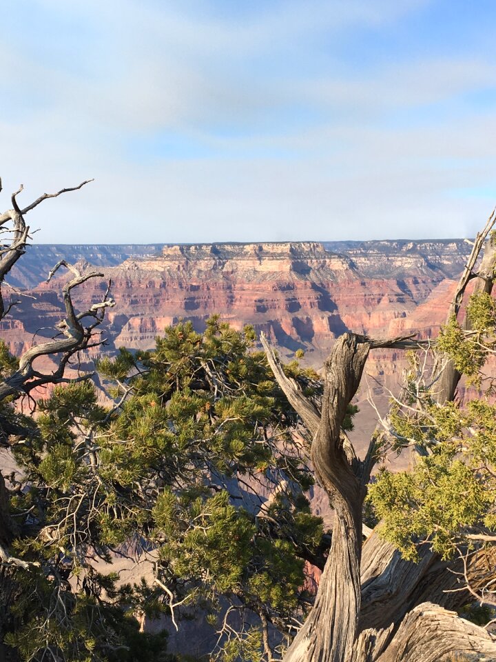 Nature landscape national