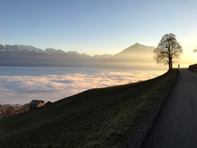 Sneezing bernese oberland lake thun photo