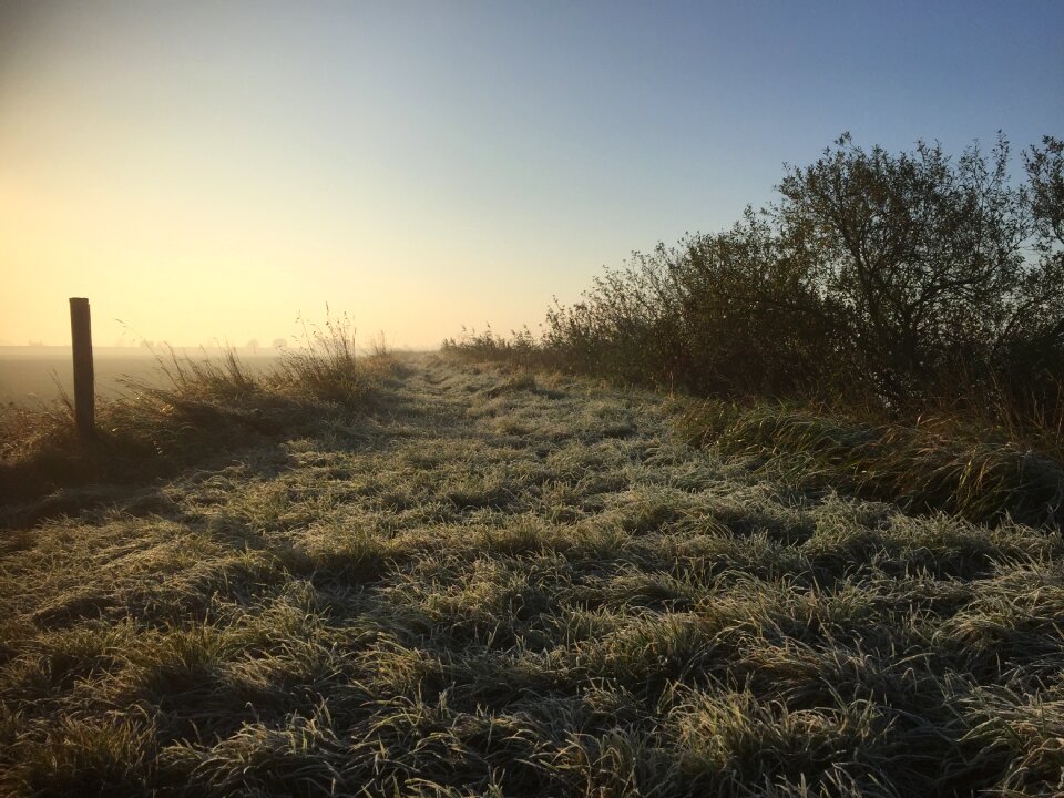 Freshness outdoor landscape