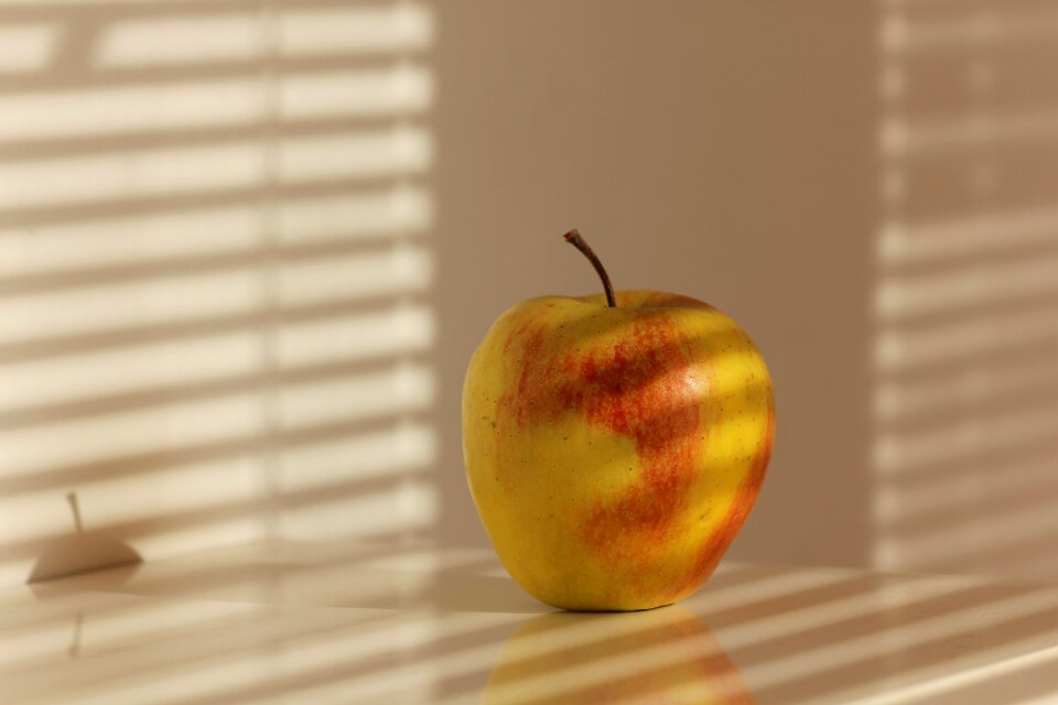 Shadow apples fruit