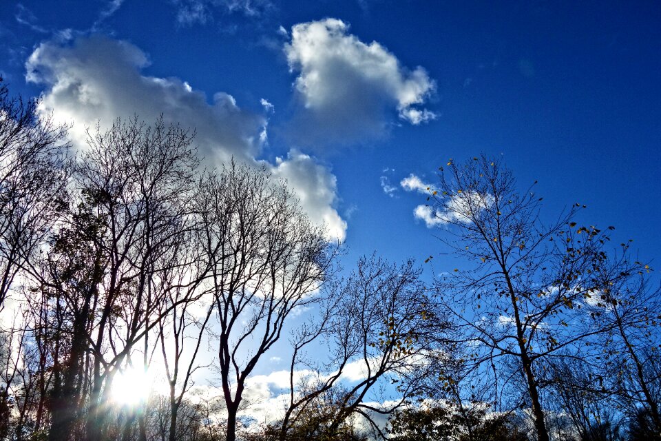 Silhouette blue skies clouds photo