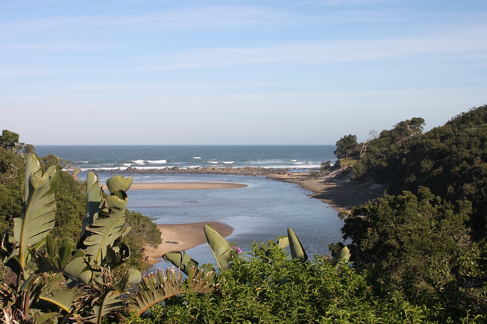 Landscapes plants sea