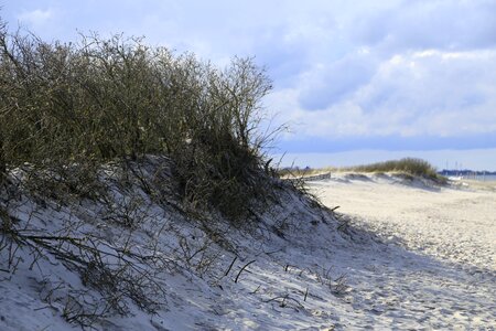 Sand dune sand beach atlantic coast