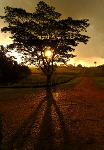 Drizzle gravel road