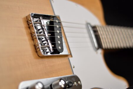 Basswood brown guitar