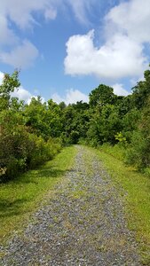 Conservation area landscape
