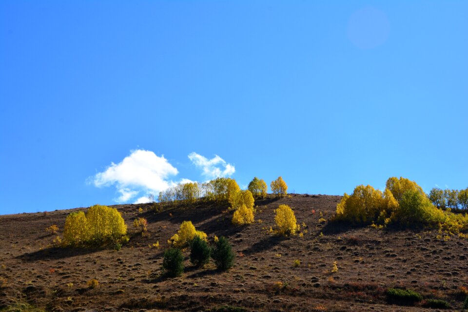 Beautiful outdoor landscape