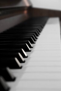 Piano keyboard instrument keyboard instrument photo