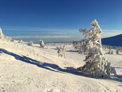 Fell lapland ylläs