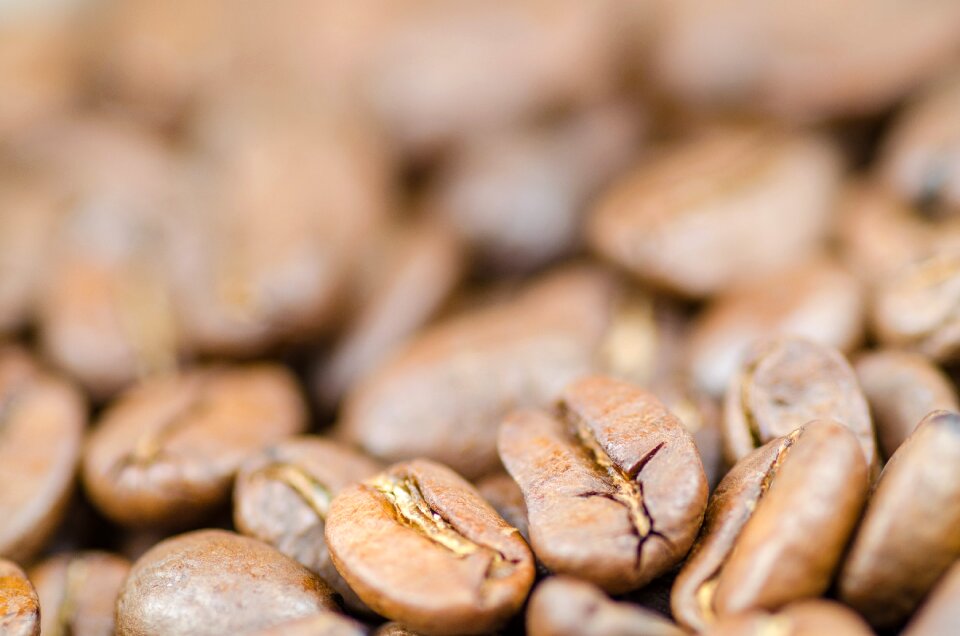 Seed background black