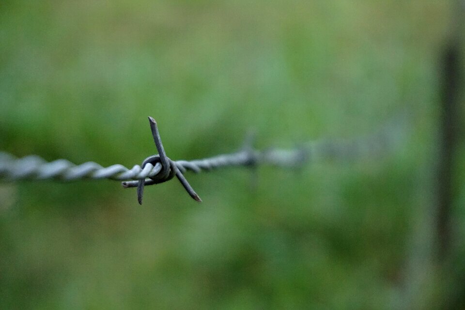Border security barb