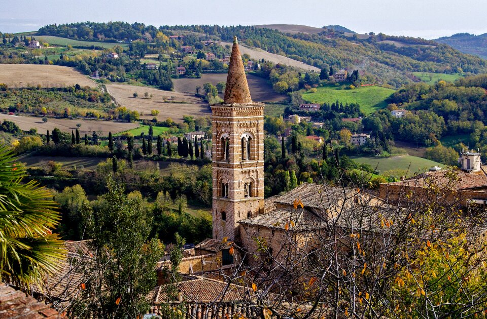 Gothic mullioned st francis
