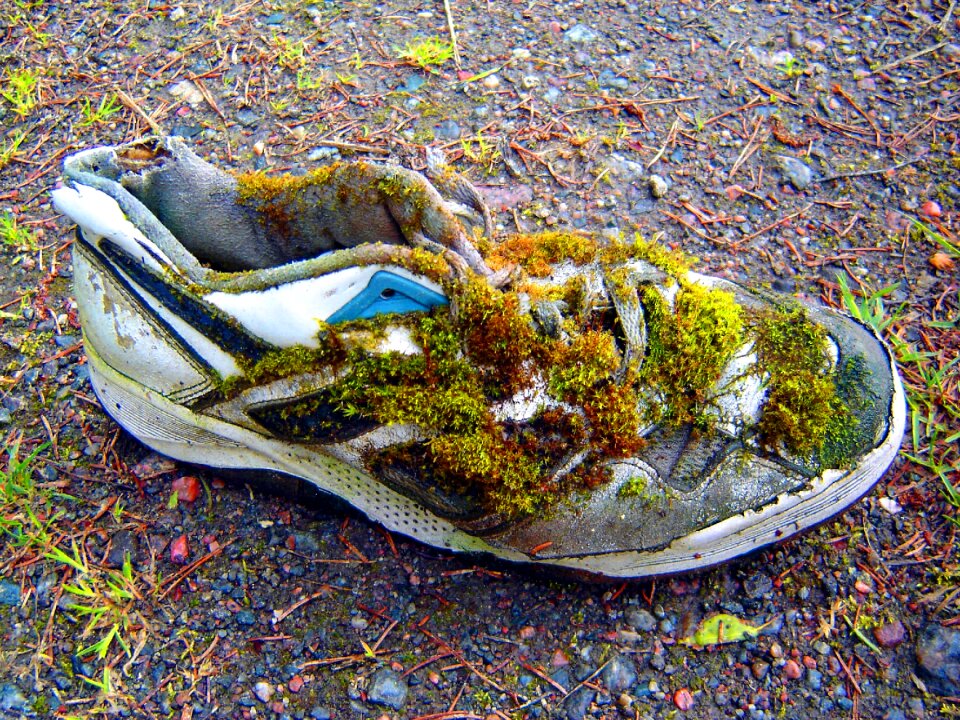 Transience sneakers run