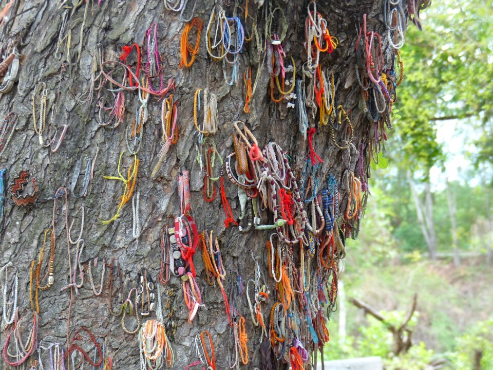 Killing fields prayer chains on the tree of the dead children