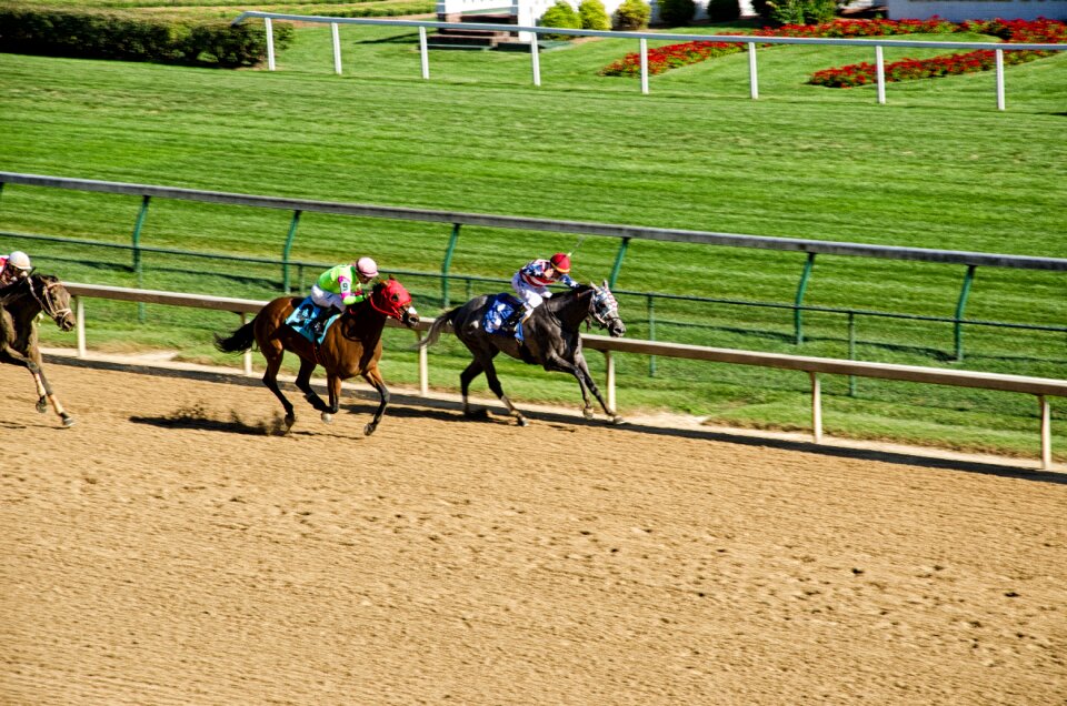 Horses racecourse churchill downs