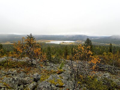 Lapland autumn nature