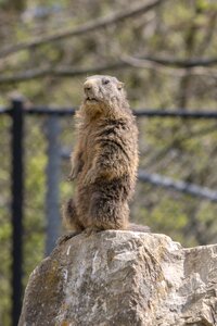 Keep an eye out wildlife park animal world