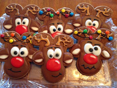 Icing cookie winter