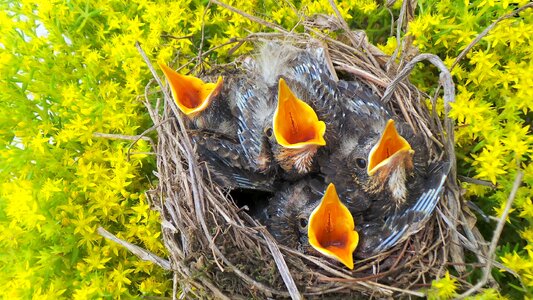 Coop to feed waiting for you tweet