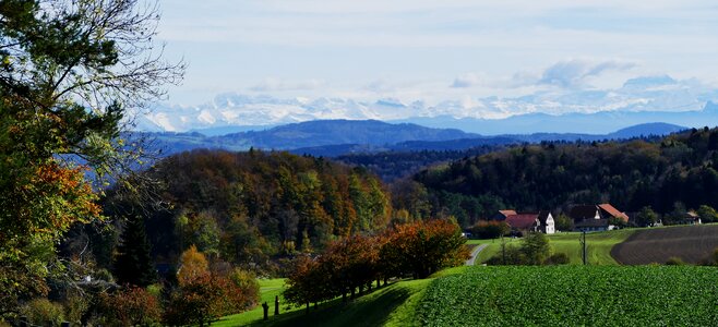 Agriculture trees mountains