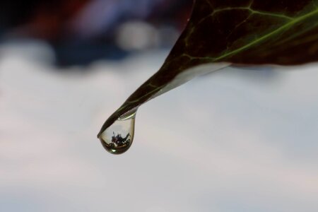 Drip mirroring reflection