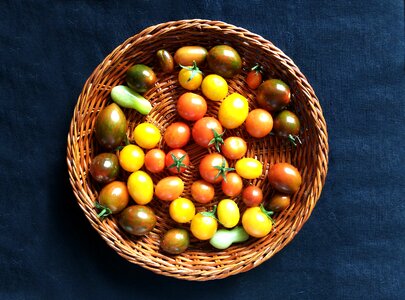 Harvest orchard cherry tomatoes