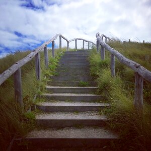 Coast beach nature