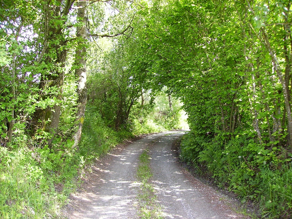 Gravel road away forest path