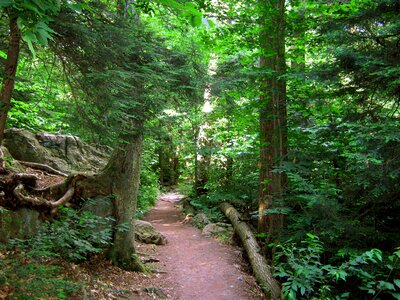 Park scenic foliage