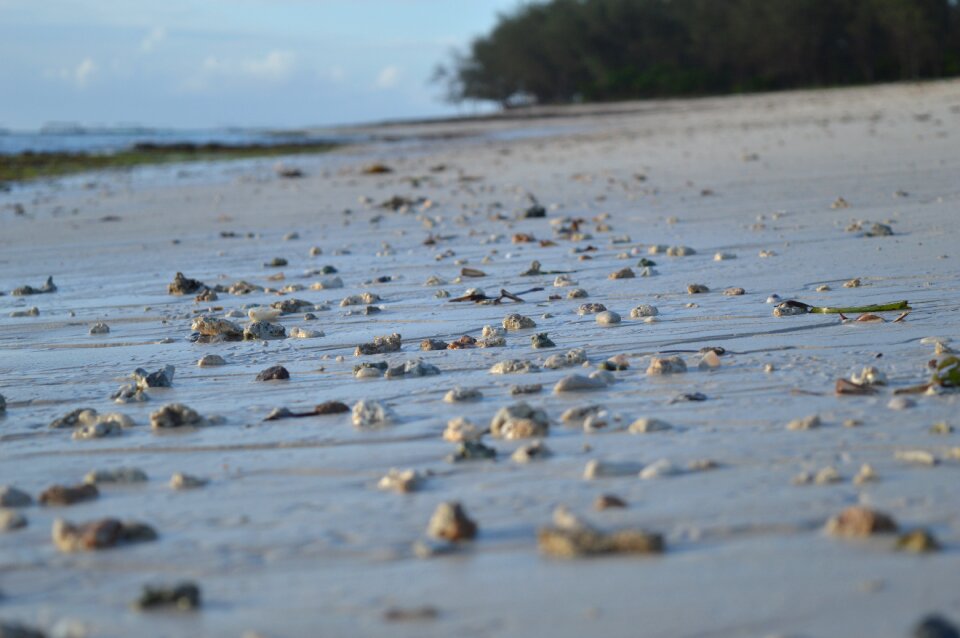 Sea shore