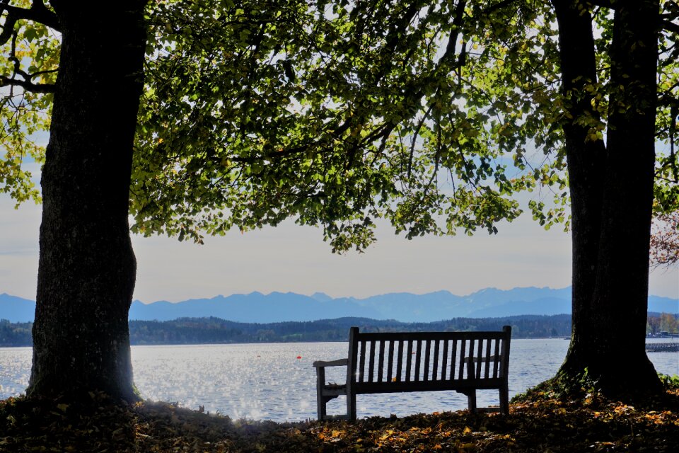 Wooden bench break idyll