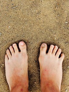 Seashore nature