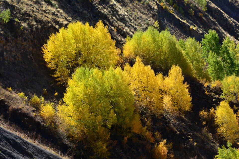 Beautiful outdoor landscape
