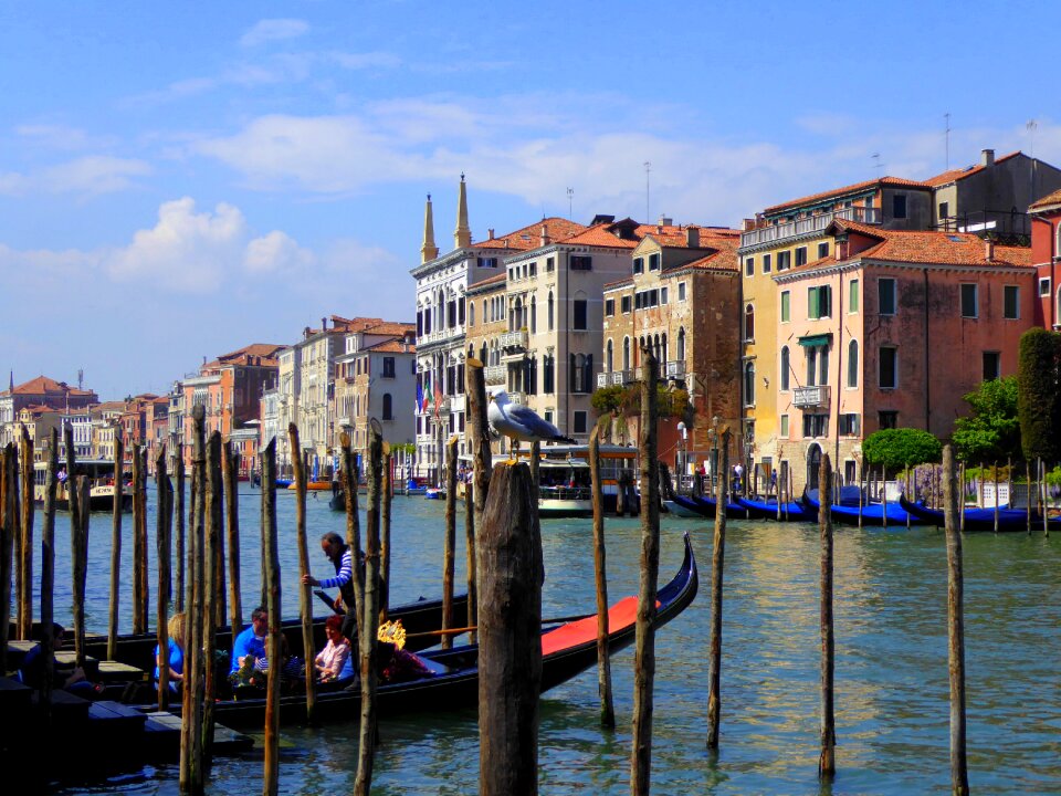 Gondolas rialto italy