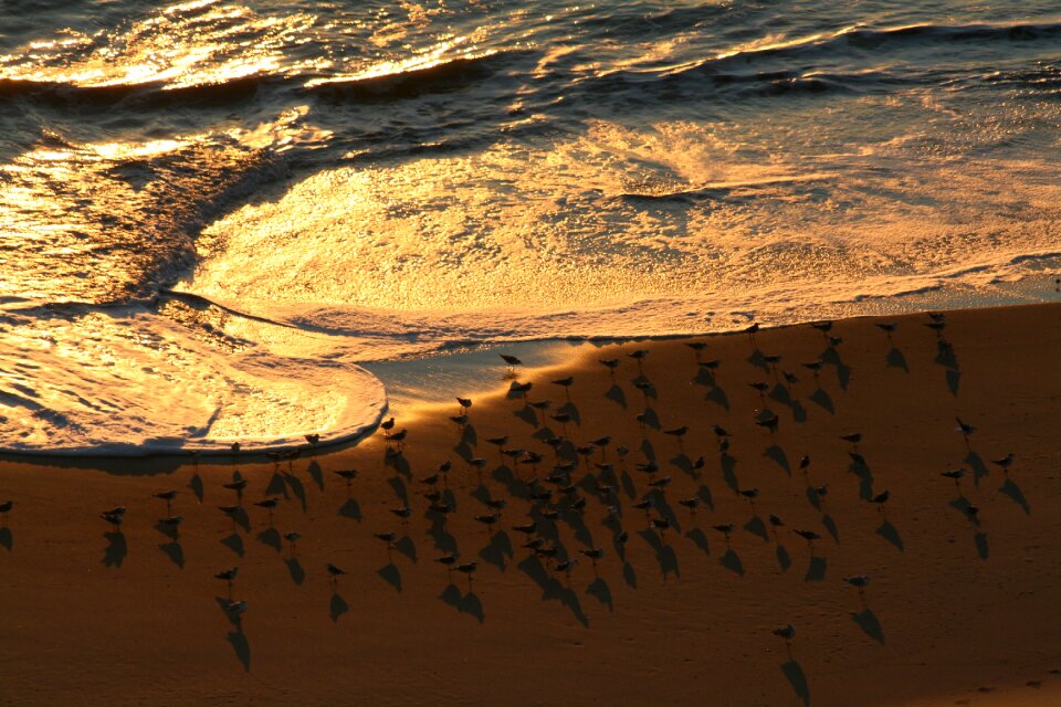 Sea sand ocean