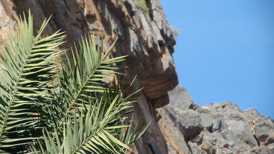 Mountain slope oman