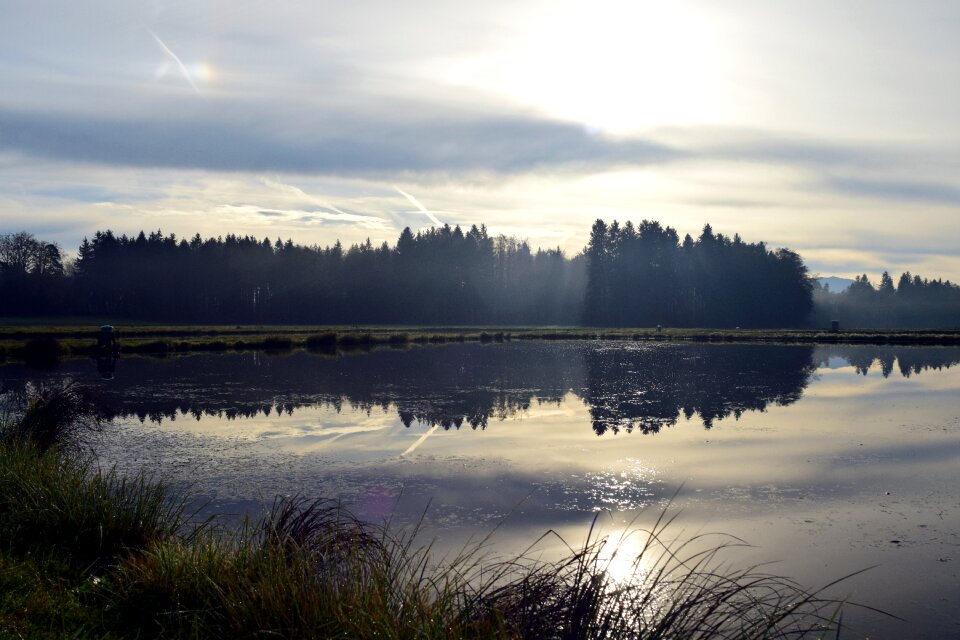 Nature waters bank