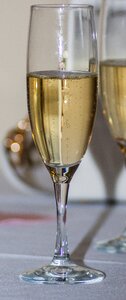 Sparkling sparkling wine photo