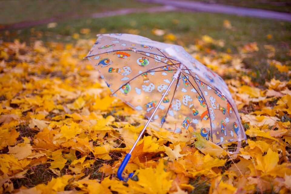 Autumn umbrella listopad