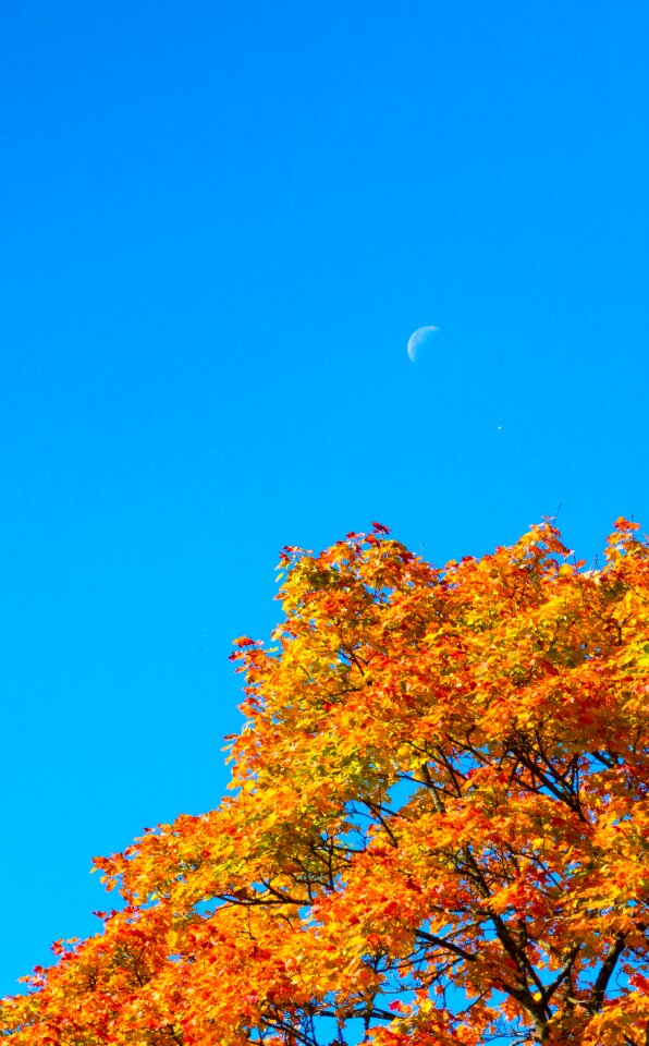 Moon the day landscape