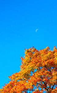 Moon the day landscape photo