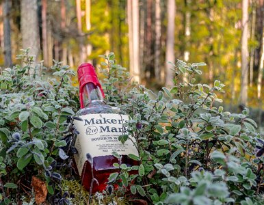 Corn whiskey blend whiskey american