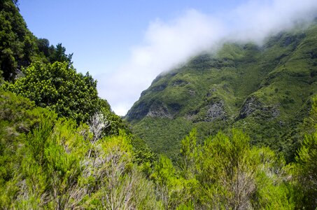 Green landscape top view