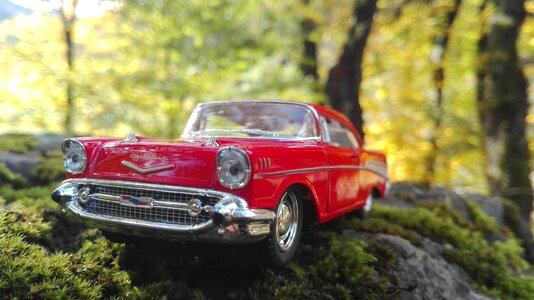 Tree red car