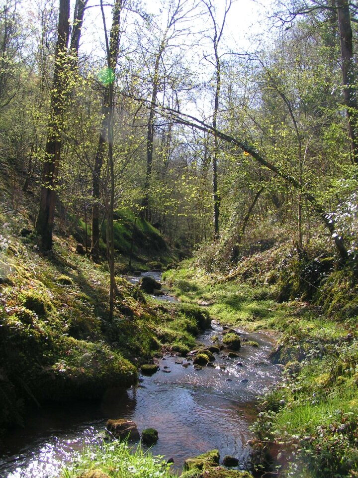 Collonges-la-rouge corrèze creek