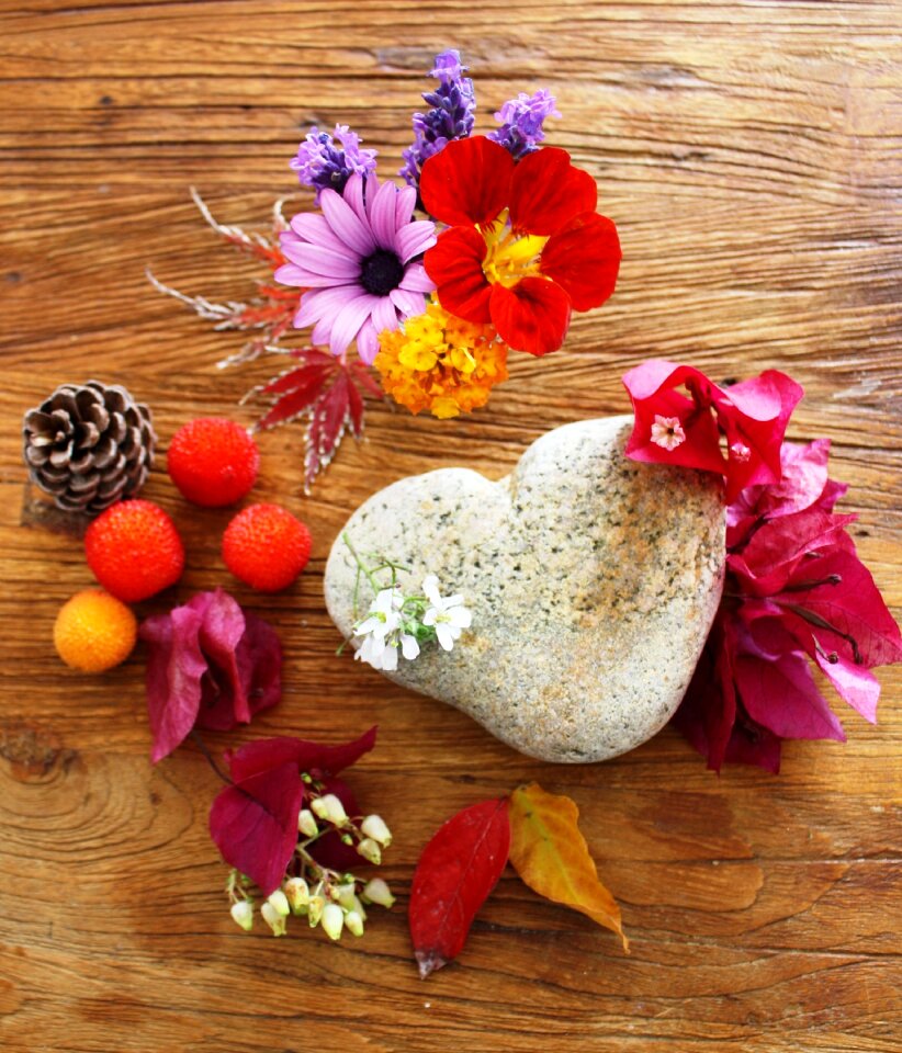 Floral composition autumn flowers colors