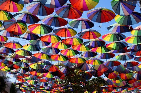 Alley shut an umbrella color