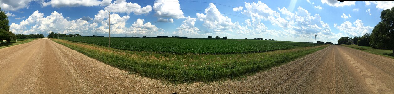 Summer nature farm